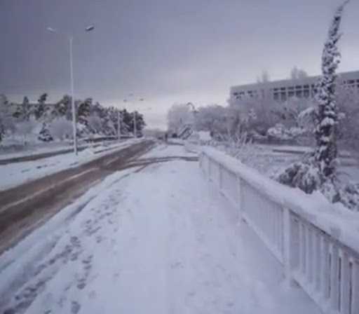 Constantine algerie 14fev2012