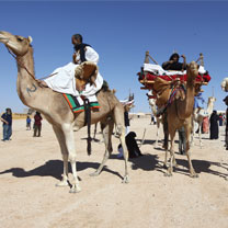 De retour du Sahara occidental : La caravane française de solidarité sollicite l’intervention de l’ONU