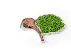 Des assiettes design en forme d&rsquo;aliments