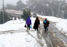 Face à la vague de froid,Les bons réflexes ont manqué