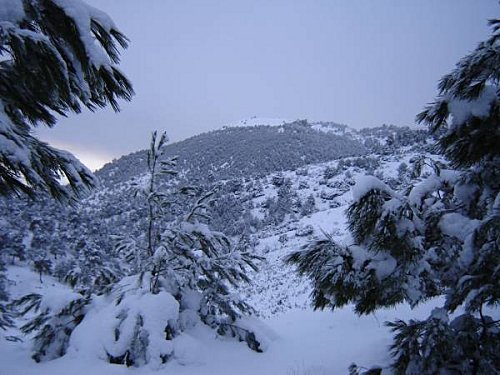 Kabylie,L’épaisseur de la neige a atteint 1m50