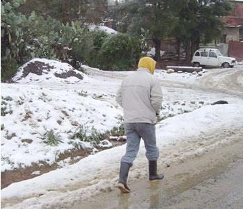 La neige couvre tout le nord du pays,L&rsquo;Algérie grelotte