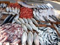 La production halieutique de l&rsquo;Algérie en hausse de 10% à 104.000 tonnes en 2011