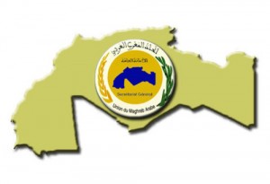 Le Président Marzouki: le prochain sommet maghrébin sera un « nouveau départ » pour l&rsquo;édification du Grand Maghreb