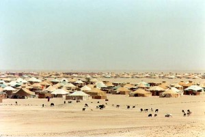 L&rsquo;objectif de la caravane est de prendre conscience du problème sahraoui