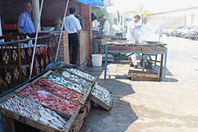 Saisie de 24 quintaux de poisson impropre à la consommation à Batna
