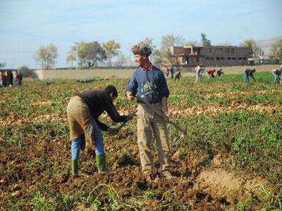 Sécurité alimentaire et stress hydrique ,L’Algérie adopte une irrigation d’appoint à partir de ressources non conventionnelles