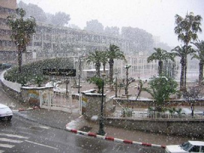 Un spectacle peu habituel,Alger et sa périphérie sous la neige