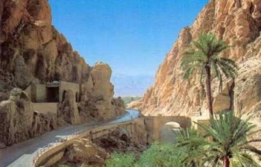 Vers le retour des calèches pour doper le tourisme à Biskra