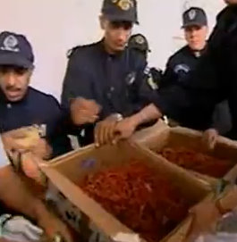 100 kg de corail saisis et trois personnes arrêtées a oum thboul