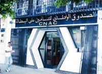 Cnac, Ansej, Angem, Entre chiffres et réalité du terrain