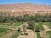In-Salah (Tamanrasset),Place à l’agriculture