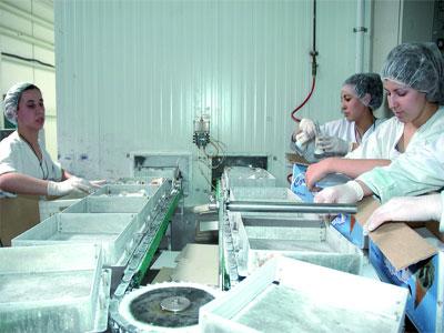 La femme algérienne peine à s’imposer comme citoyenne !