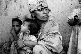 Le documentaire guerre d’Algérie, la déchirure, diffusé sur France 2 Encore des vérités occultées !