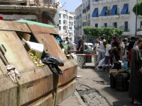 Poubelles et décharges pour survivre !