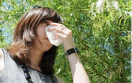 Allergies et système immunitaire,Printemps et hypersensibilité