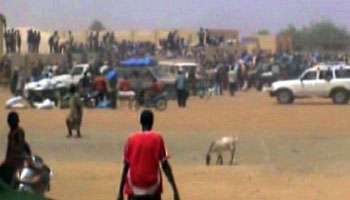 Fuyant la guerre,Des Maliennes à Béchar