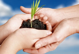 Journée d’information à Alger sur les enjeux de la conférence de Rio+20,Sécurité alimentaire, croissance et énergie au menu