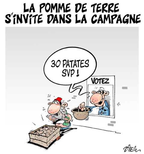 La pomme de terre s&rsquo;invite dans la campagne