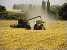 Lancement d&rsquo;un projet de développement des exportations de produits agricoles algériens