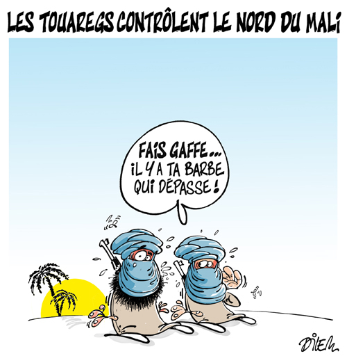 Les Touaregs contrôlent le Nord du Mali