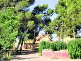 MASCARA, Environnement,Opérations de réaménagement des espaces verts