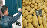 Pomme de terre,Un enjeu électoral ?