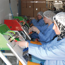 220.000 microentreprises créées dans le cadre de l’ANSEJ : 570.000 postes d’emploi générés