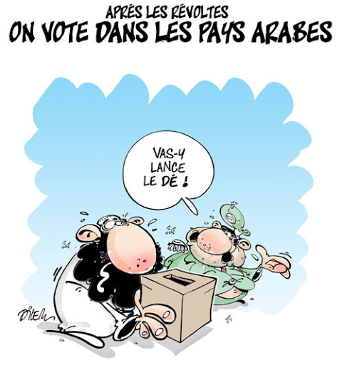 Apres les révoltes,on vote dans les pays arabes