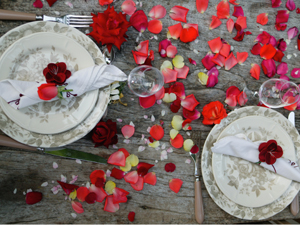 BLIDA, Salon national de la jeunesse et des roses ,Première édition en juin prochain