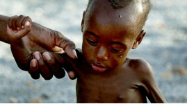 Crise alimentaire au Sahel et corne de l’Afrique ,23 millions de personnes touchées