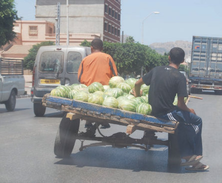 Ils sont pourtant officiellement interdits depuis ,Les véhicules hippomobiles réinvestissent les rues d’Oran