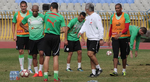 Mondial 2014,Les adversaires des Verts se préparent
