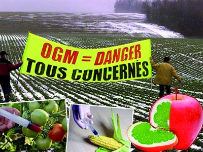 Organismes génétiquement modifiés (OGM),L’Algérie applique le principe de précaution