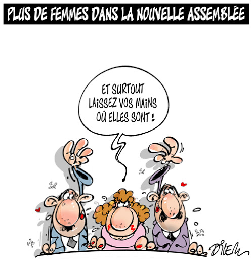 Plus de femmes dans la nouvelle assemblée