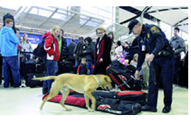 USA, préparé par la branche yéménite,Projet d’attentat suicide contre un avion déjoué