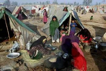 Victimes collatérales des bombes de l&rsquo;Isaf, Harcelés par al Qaïda,Les civils, les oubliés du Sommet de l&rsquo;Otan