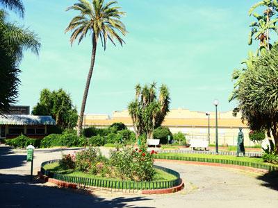 Insécurité, manque d’entretien et absence de projets d’aménagement Les espaces verts à Alger, un abandon systématique et volontaire