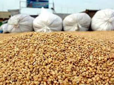 L&rsquo;Algérie n&rsquo;importera pas de de blé dur et d&rsquo;orge en 2012