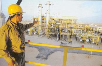 Le pétrole chute de plus de 22 Dollars en un mois,Les Algériens doivent se serrer la ceinture