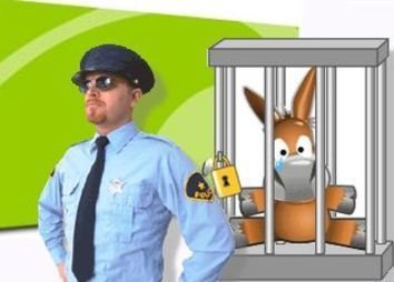 Logiciels informatiques : Le taux de piratage en Algérie a atteint 84% en 2011