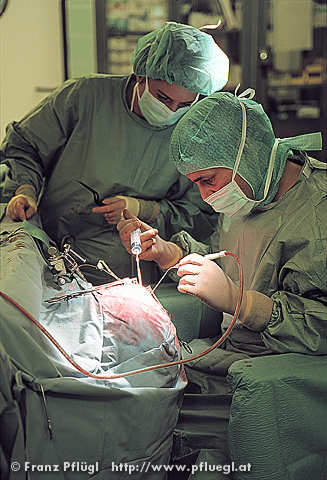 NEUROCHIRURGIE, L&rsquo;Algérie une «référence» au Maghreb