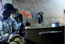 Programme mondial pour l’agriculture et la sécurité ,Six pays recevront 177 millions de dollars