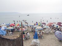 Saison estivale, Le problème des concessions des plages ressurgit à Oran