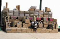 50 Tonnes de Kif récupérées depuis le début de l&rsquo;année,Record de saisies en 2012