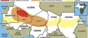 8 terroristes abattus à la frontière algéro-malienne
