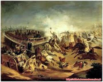 Algérie-France : un juillet proportionnel