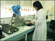 Algérie – Indice mondial de l&rsquo;innovation 2012 : L&rsquo;Algérie au 124ème rang mondial