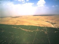 Barrage vert : projet agroécologique précurseur de la lutte contre la désertification en Afrique