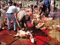 Célébrations dénaturées, excès, gaspillage… Trop de dérapages dans nos fêtes